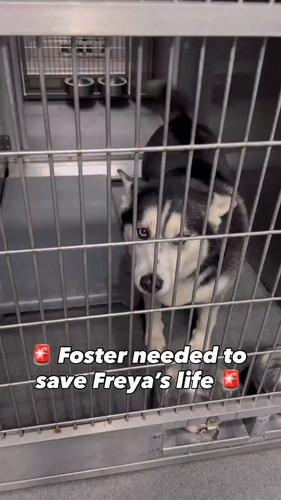 sl pNfhp cVDrm8 .jpg