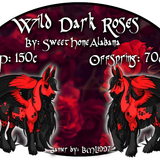 wild dark roses