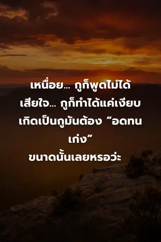 30687bc410af.webp