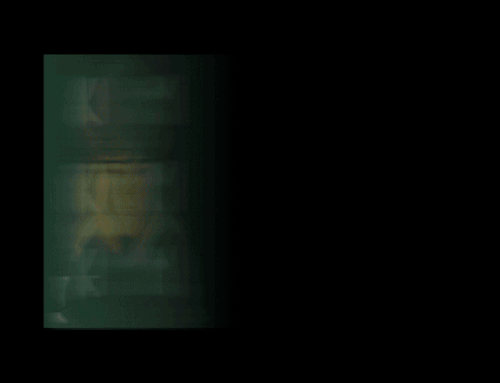 Tumblr l 368193685276868.gif