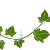Green Vines