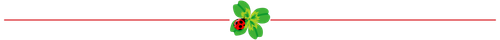 Ladybug 1.png