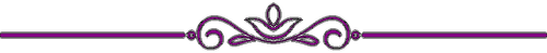 Purple Divider 2.png