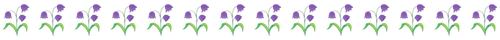 Purple Tulips.png