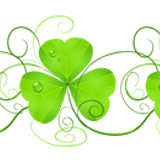 Shamrocks