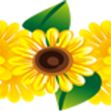 Sunflower Divider