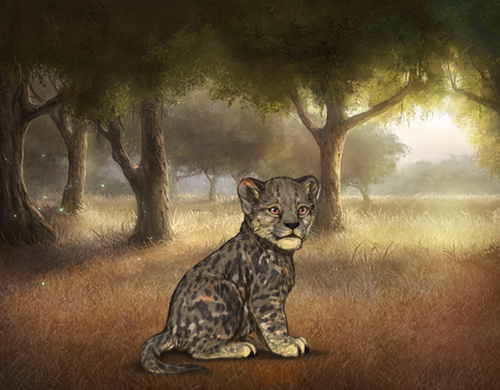 Screenshot 2025 12 27 at 11.23.53 AM.png