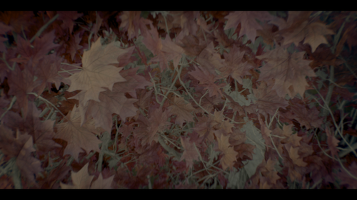 frame1.png