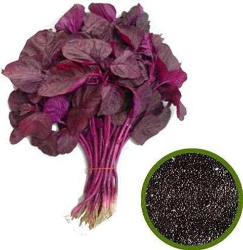 500 xlr 594 red spinach amarnath.jpg