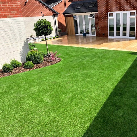 17000 seegreen lawn grass seeds.jpg