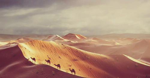 63e22ea86798bd84e64d3fec Tushar Ganesh Desert.jpg