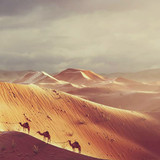 63e22ea86798bd84e64d3fec Tushar Ganesh Desert