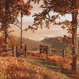 63fde54f3558ed3cbbf1171e polina 11