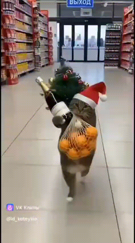 video 2025 12 27 23 51 50