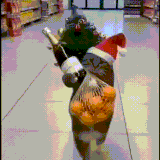 video 2025 12 27 23 51 50.gif