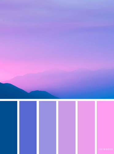 pink bluebell sky.jpg