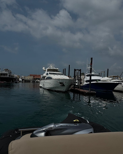 renegonzalezzy 486096833 18268444876277899 8262800386342731822 n.jpg