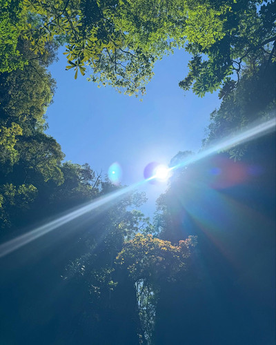 renegonzalezzy 494111165 18271758406277899 7628782240396875131 n.jpg