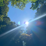 renegonzalezzy 494111165 18271758406277899 7628782240396875131 n