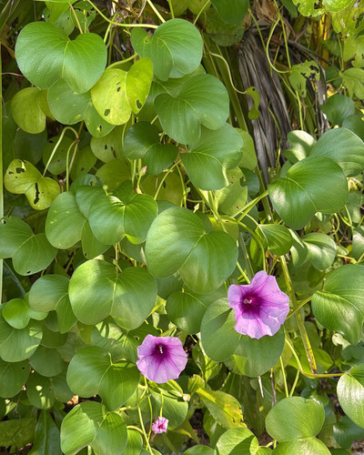 renegonzalezzy 494525864 18271935604277899 5530820528685908927 n.jpg