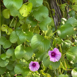 renegonzalezzy 494525864 18271935604277899 5530820528685908927 n