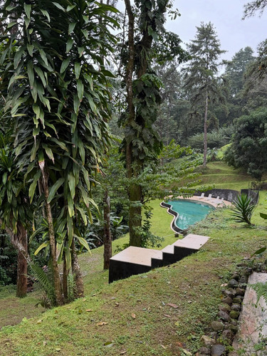 renegonzalezzy 588213578 18299424829277899 5506852820812483761 n.jpg