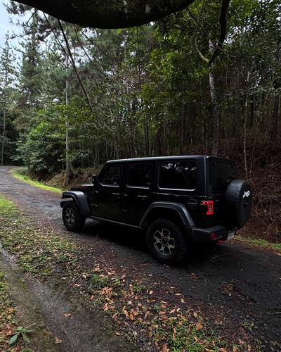 renegonzalezzy 520161701 18280811923277899 8975660868067938108 n.jpg