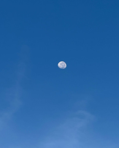 renegonzalezzy 534377343 18284070523277899 7291629993339542956 n.jpg