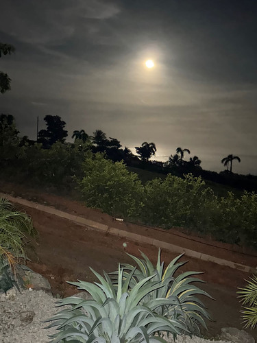 renegonzalezzy 531520497 18283731391277899 7269673235936504560 n.jpg