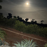 renegonzalezzy 531520497 18283731391277899 7269673235936504560 n