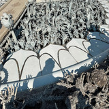 renegonzalezzy 496163682 18272835898277899 1721769660755006575 n