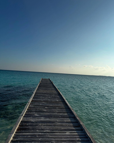 renegonzalezzy 497544346 18273665707277899 7266359939714274847 n.jpg