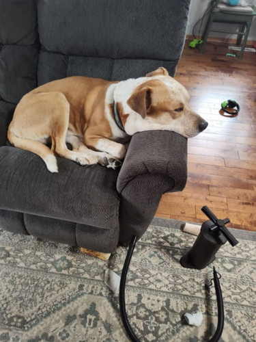 Screenshot 20251227 121716 Snapchat.jpg