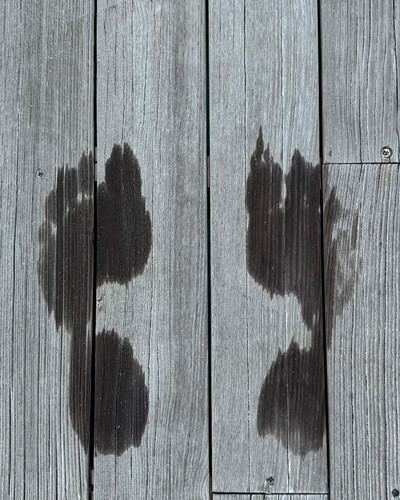 renegonzalezzy 503948872 18276465985277899 1292660082825224944 n.jpg