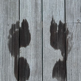 renegonzalezzy 503948872 18276465985277899 1292660082825224944 n