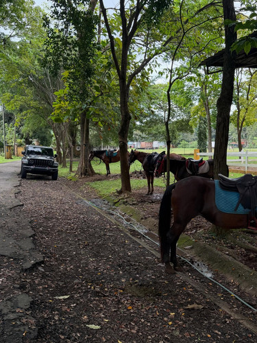 renegonzalezzy 590427545 18301028923277899 1090179945995929194 n.jpg