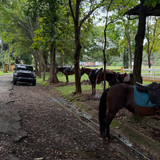 renegonzalezzy 590427545 18301028923277899 1090179945995929194 n