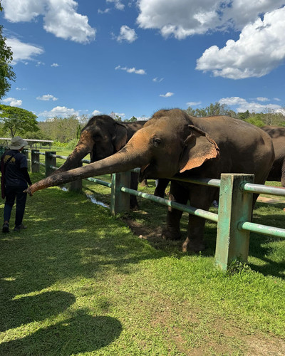 renegonzalezzy 491151652 18270944599277899 8611583581446226245 n.jpg