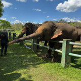 renegonzalezzy 491151652 18270944599277899 8611583581446226245 n