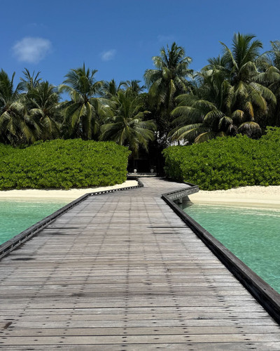 renegonzalezzy 491443593 18271935625277899 3092109650250114301 n.jpg