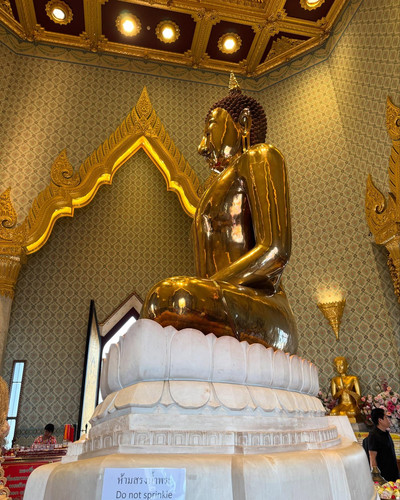 renegonzalezzy 491128129 18270522964277899 5667349958075446023 n.jpg