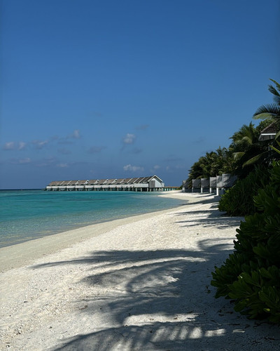 renegonzalezzy 491439371 18271935589277899 2973137544401377241 n.jpg