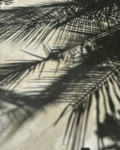 renegonzalezzy 491439668 18271935553277899 5914540089749194220 n.jpg