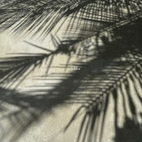 renegonzalezzy 491439668 18271935553277899 5914540089749194220 n