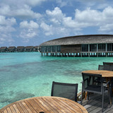 renegonzalezzy 491440195 18271935643277899 3204474060363401698 n