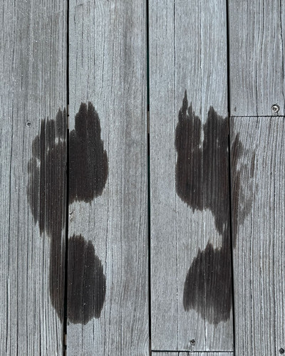 renegonzalezzy 491449248 18271935580277899 5249884988346038664 n.jpg