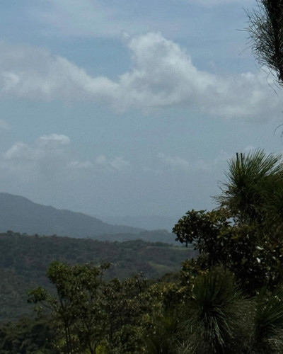 renegonzalezzy 522235488 18281257933277899 6286747940226457256 n.jpg