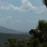 renegonzalezzy 522235488 18281257933277899 6286747940226457256 n