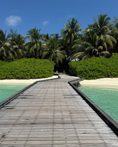 renegonzalezzy 504508939 18276465994277899 5028366277041259527 n.jpg