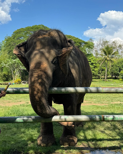 renegonzalezzy 491463699 18270944587277899 3049047664603982041 n.jpg